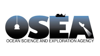 The world's oceans need their own NASA-style agency
